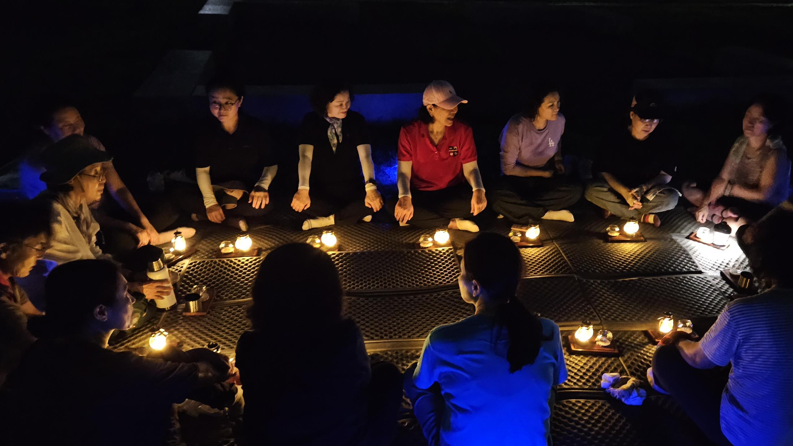 Read more about the article 한여름 밤의 숲 마실 (2025. 8. 22.)